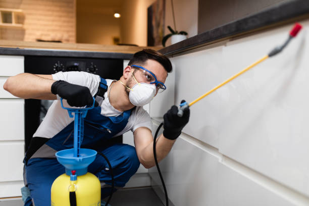 Best Pest Removal Services  in Medical Lake, WA