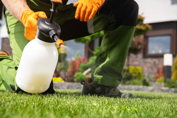 Best Pest Inspection Near Me  in Medical Lake, WA