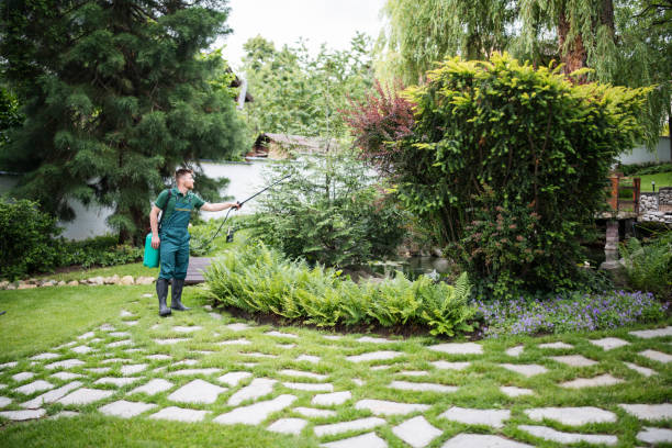 Best Mosquito Control Services  in Medical Lake, WA
