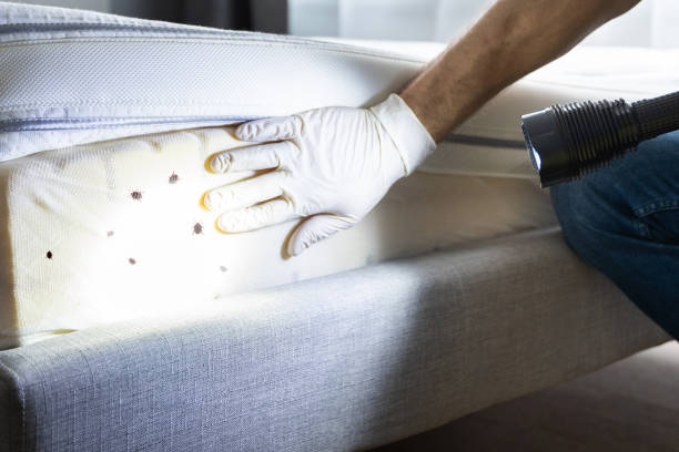 Pest Prevention Services in Medical Lake, WA