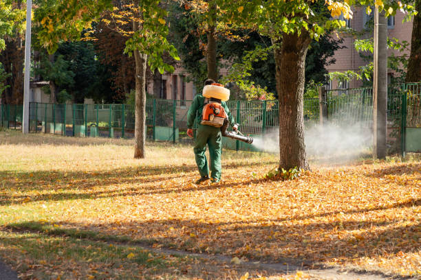 Reliable Medical Lake, WA Pest Control Solutions