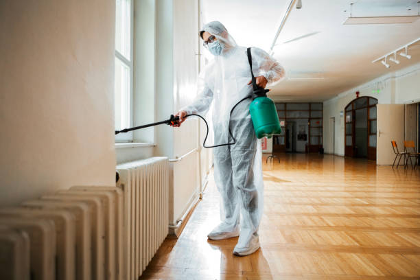 Best Flea Control Services  in Medical Lake, WA