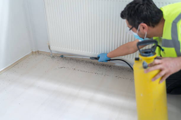 Best Pest Control Near Me  in Medical Lake, WA